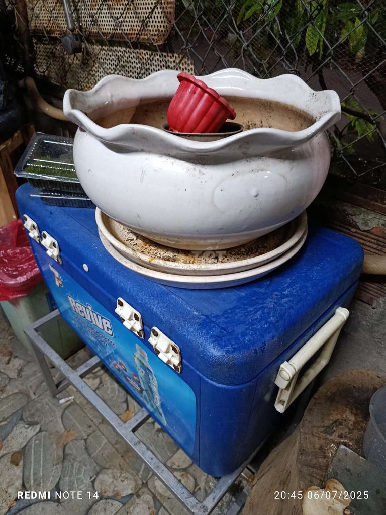Thanh lý 2 cái chậu mới. Mua bán Nội thất, đồ gia dụng khác tại Quận Bình Thạnh Tp Hồ Chí Minh được đăng bởi thanh sang hình 2