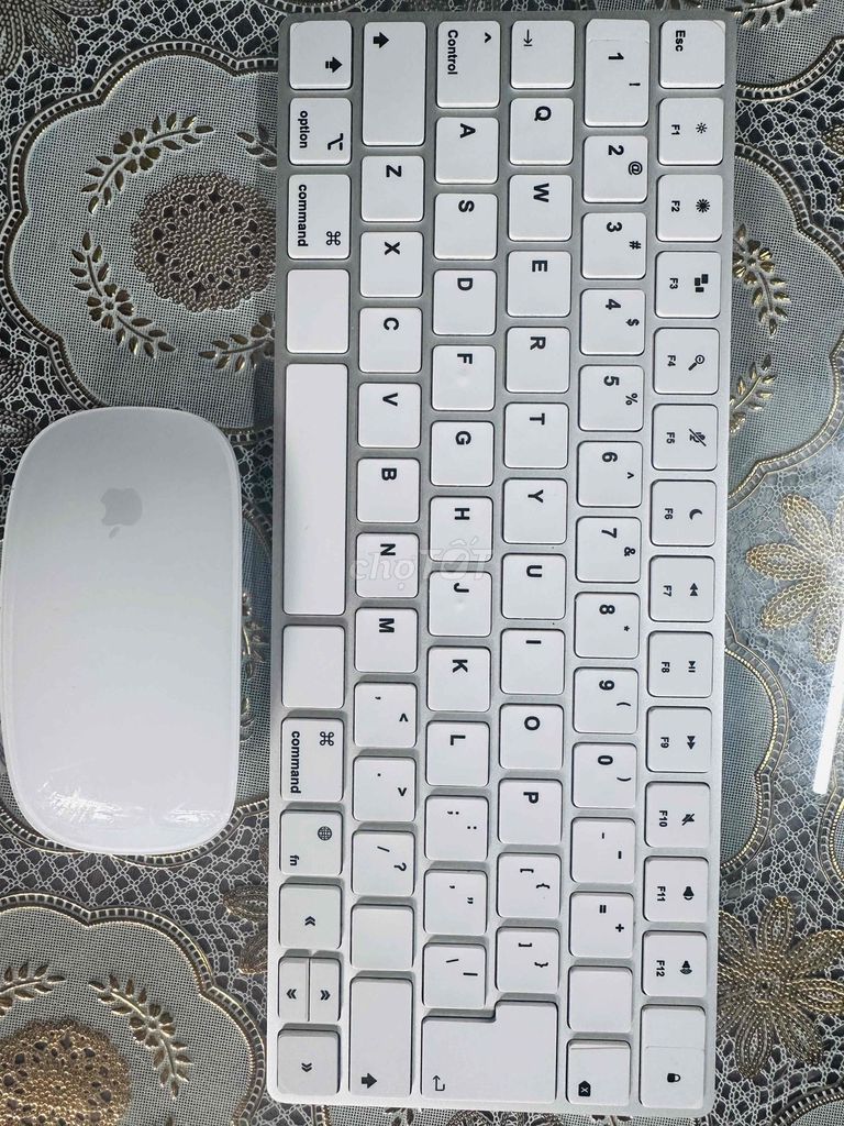 Apple Bàn phím & Chuột Magic Trắng. Mua bán Phụ kiện (Màn hình, Chuột...) tại Thành phố Mỹ Tho Tiền Giang được đăng bởi 3 Ljem hình 1