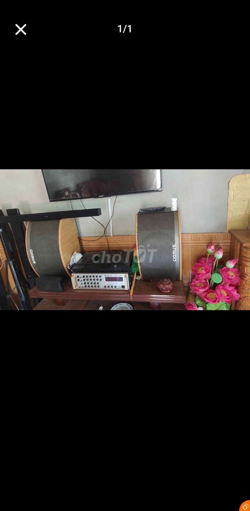 Loa karaoke Domus 3 đường tiếng. Mua bán Tivi, Âm thanh tại Thành phố Huế Thừa Thiên Huế được đăng bởi Tài Phát hình 1