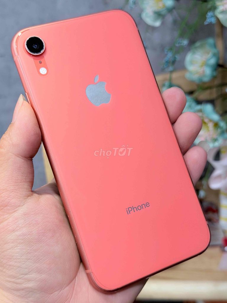 Xr qt zin đẹp pin cao bán hay gl đt bù trừ. Mua bán Điện thoại tại Thành phố Biên Hòa Đồng Nai được đăng bởi HUNG  hình 1