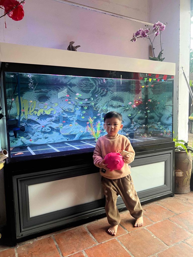 Bể cá cảnh 1m56x75cmx63cm. Mua bán Phụ kiện, Thức ăn, Dịch vụ tại Thị xã Sơn Tây Hà Nội được đăng bởi dũng phạm hình 1