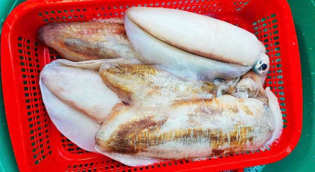 Mực Lá Tươi Mi Nơ. Mua bán Đồ ăn, thực phẩm và các loại khác tại Thành phố Nha Trang Khánh Hòa được đăng bởi nguyen binh hình 1