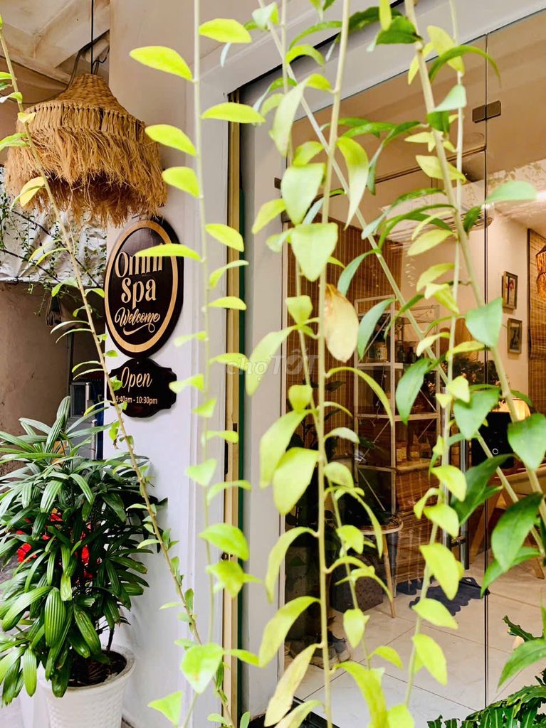 SPA QUẬN 1, Tuyển KTV mass body và gội dưỡng sinh. Việc làm tại Quận 1 Tp Hồ Chí Minh được đăng bởi Maison hình 3