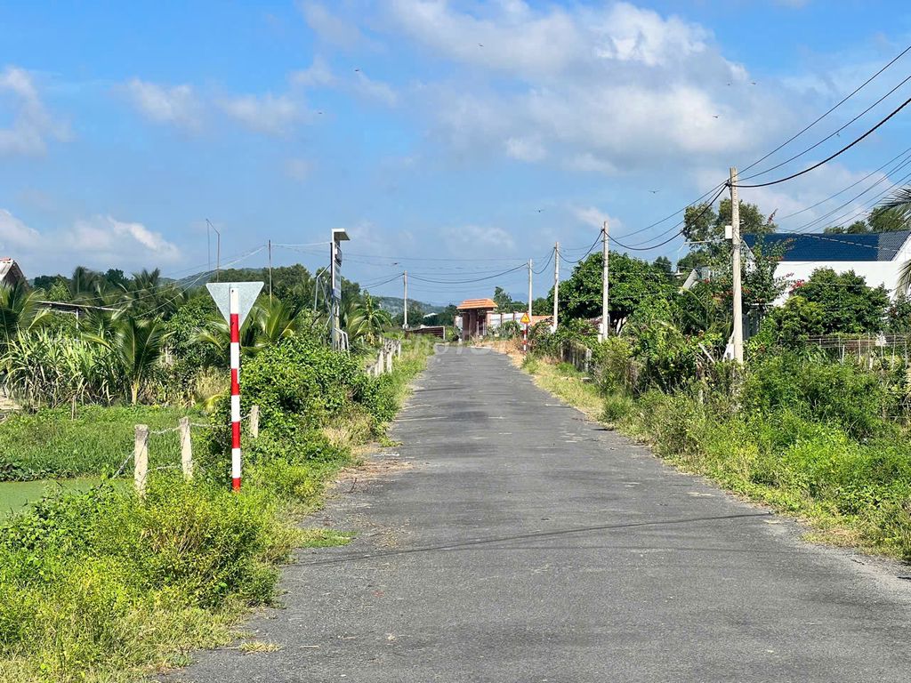 Bán 535m2 đất Thị Trấn Phước Hải , Long Đất, BRVT. Mua bán đất tại Huyện Đất Đỏ Bà Rịa - Vũng Tàu được đăng bởi Trần Thị Thơm hình 2