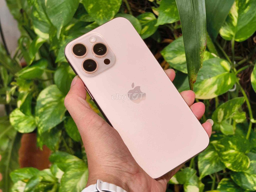 Apple iPhone 16 Pro Max 256GB Sa Mạc 99%. Mua bán Điện thoại tại Quận Phú Nhuận Tp Hồ Chí Minh được đăng bởi Ngọc Trâm hình 1