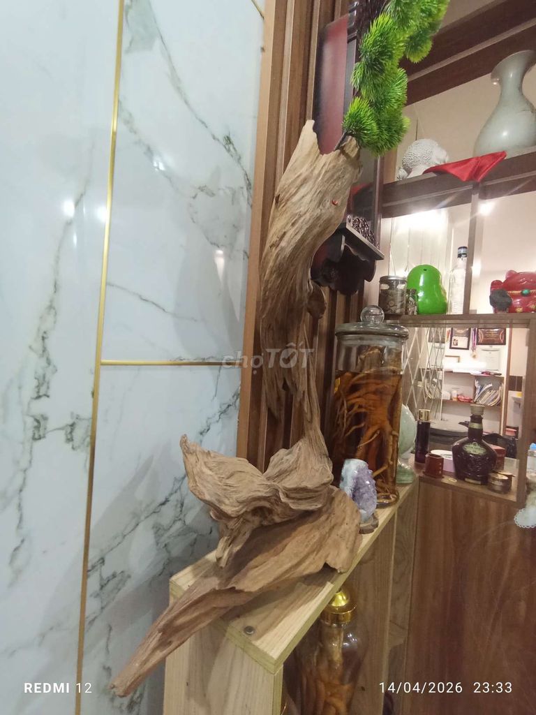 Lũa gỗ NA decor trang trí. Mua bán Cây cảnh, đồ trang trí tại Huyện Hoài Đức Hà Nội được đăng bởi Duy Nguyen hình 1