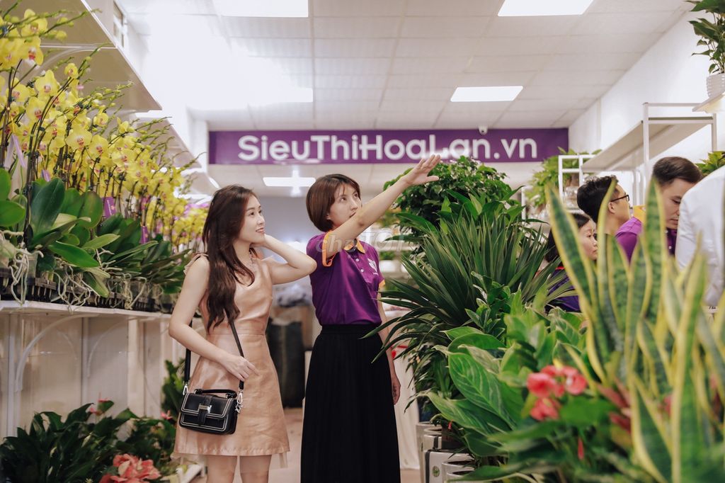 NV Bán hàng ca tối shop cây cảnh Hoàng Hoa Thám HN