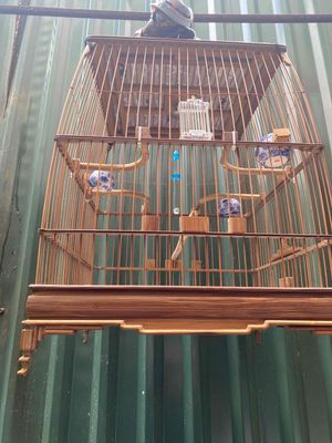 Lồng chim Tre Thái cao. Mua bán Phụ kiện, Thức ăn, Dịch vụ tại Quận Hoàng Mai Hà Nội được đăng bởi hội những người yêu chim