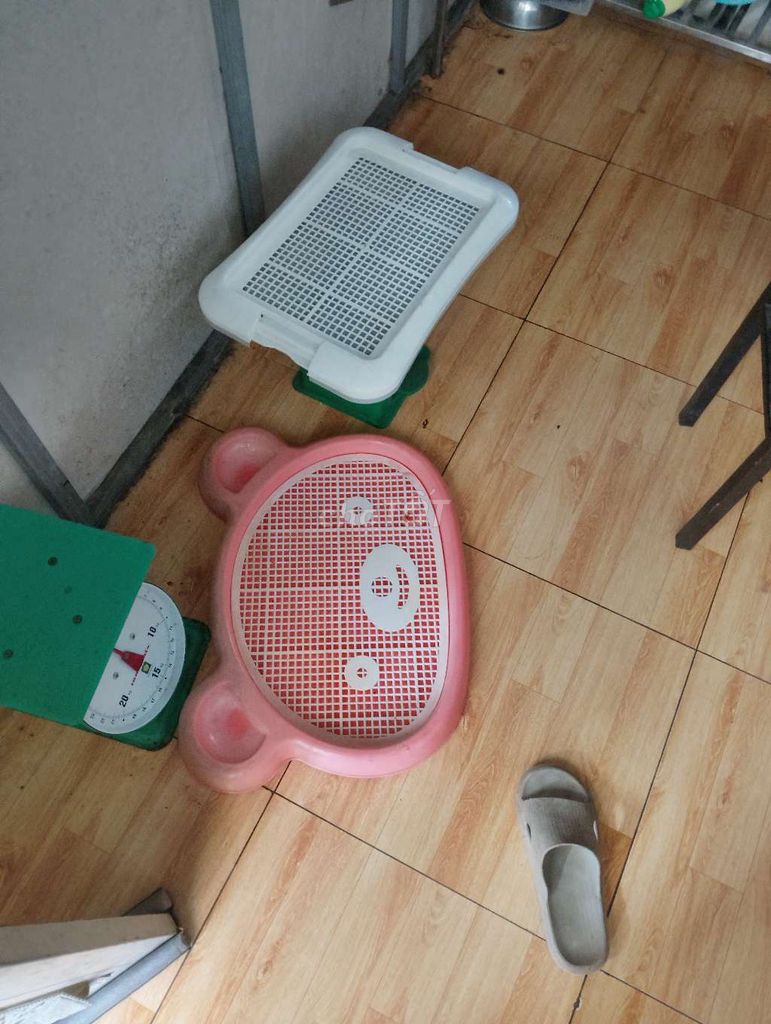 Khay vệ sinh cho chó . Mua bán Phụ kiện, Thức ăn, Dịch vụ tại Quận Hoàng Mai Hà Nội được đăng bởi Nguyễn Trung Thành hình 1