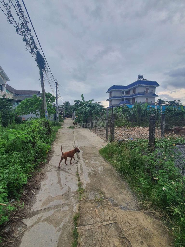 VÁN ĐẤT MT BÌNH NHÂM 36 ,THUẬN AN ,BÌNH DƯƠNG. Mua bán đất tại Thành phố Thuận An Bình Dương được đăng bởi Tân Nguyễn hình 4
