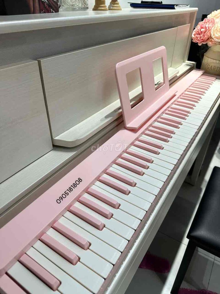 Piano Hồng