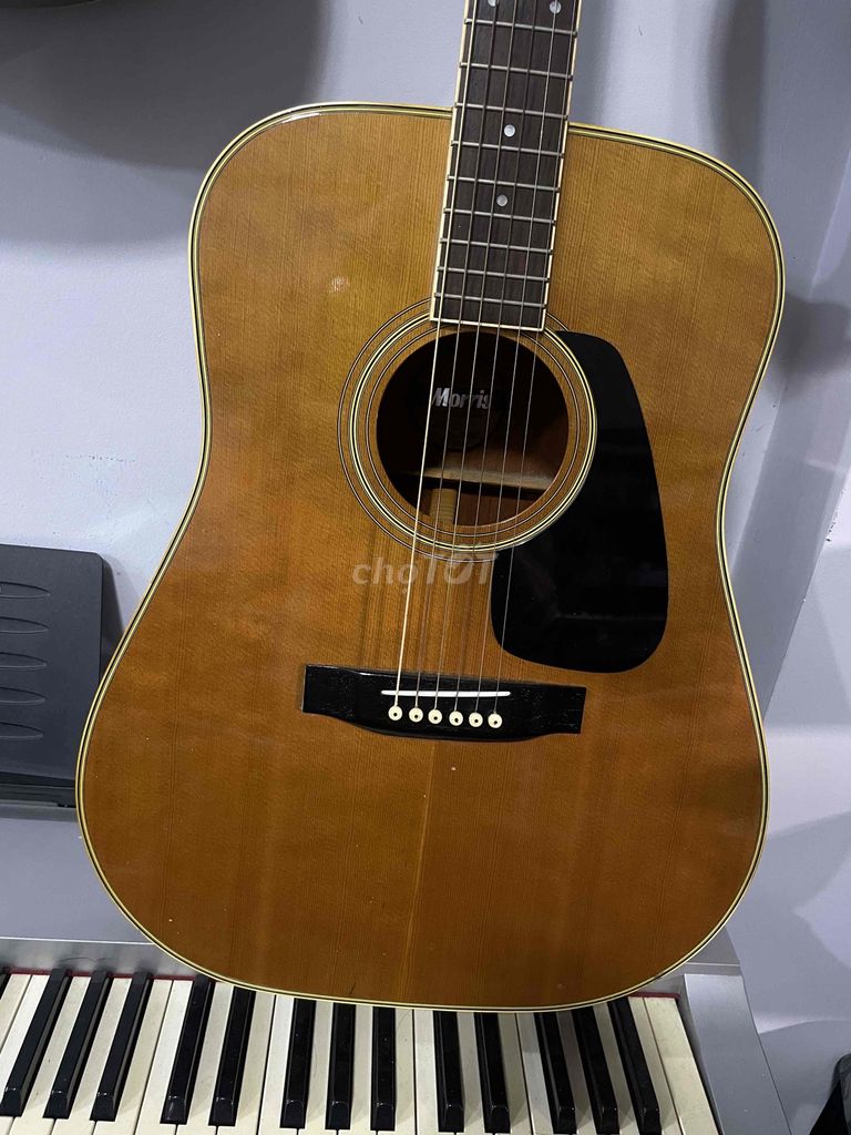 Guitar Moris MD-505 Acoustic