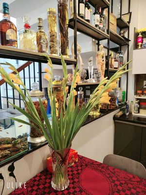 Rent · 4 bd · 100 м² · Quận Ngũ Hành Sơn, ул. Tây Sơn