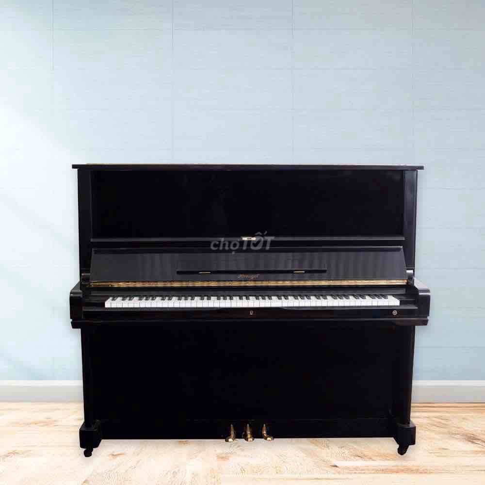 Đàn piano cơ Horugel Đen. Mua bán Nhạc cụ tại Huyện Bình Chánh Tp Hồ Chí Minh được đăng bởi THẾ GIỚI PIANO HCM hình 1