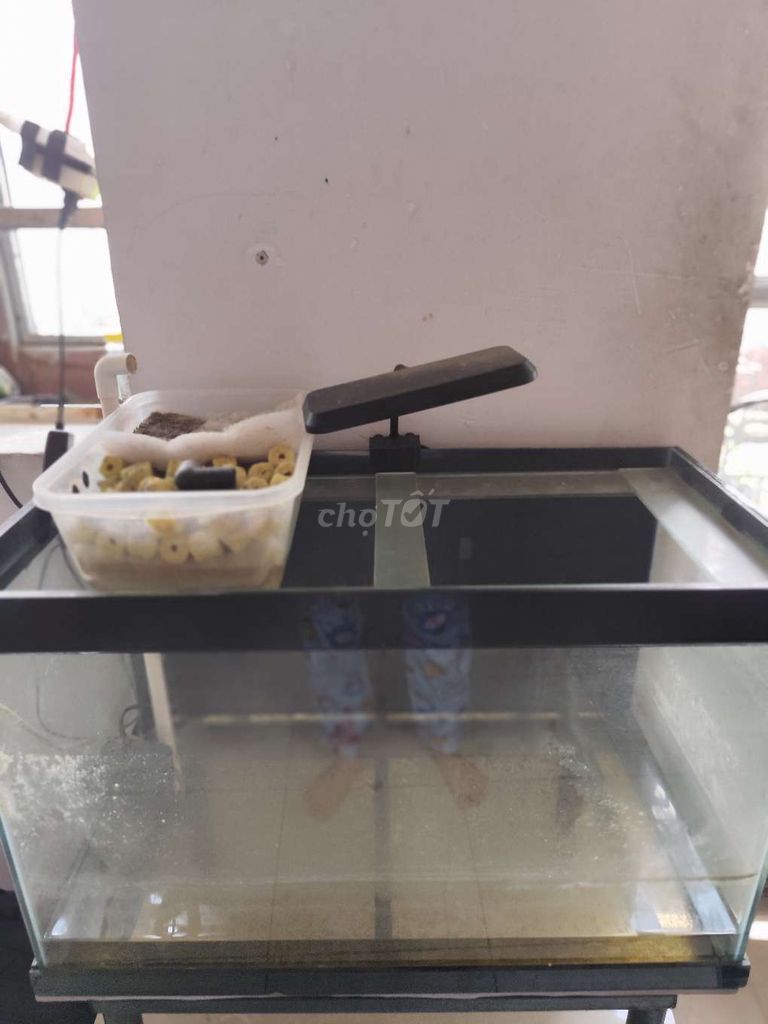 Hồ cá phụ kiện lọc máy bơm tốt. Mua bán Phụ kiện, Thức ăn, Dịch vụ tại Quận Tân Phú Tp Hồ Chí Minh được đăng bởi Lê Thị Bích Hà hình 1