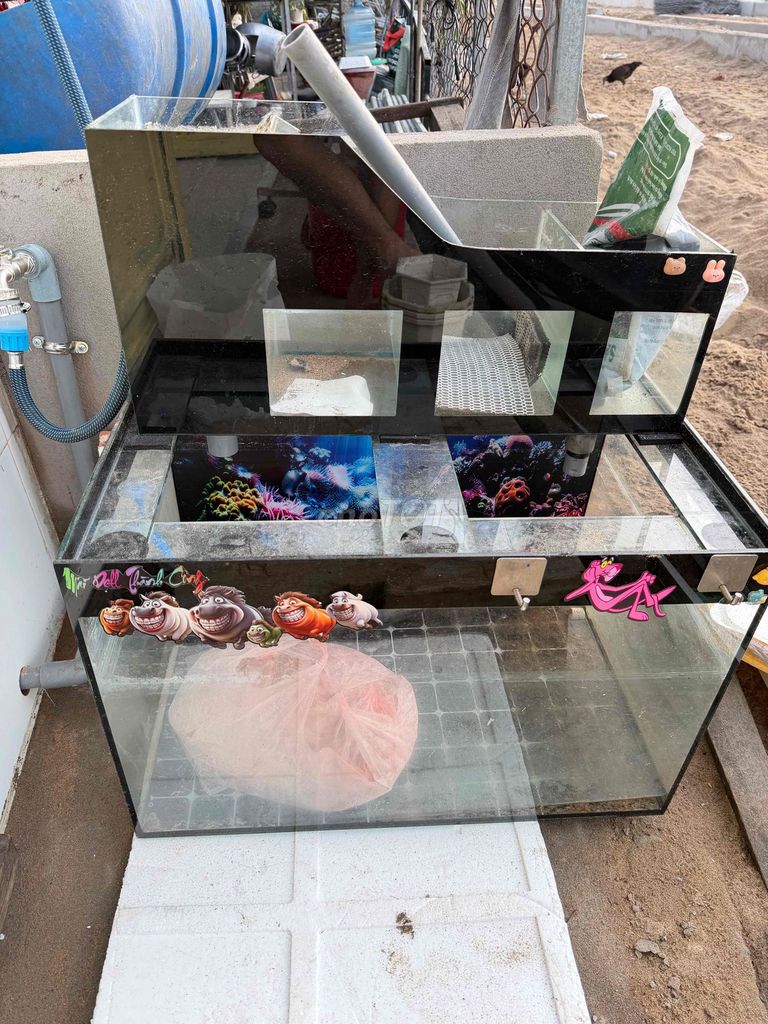 Hồ cá 60x50x40. Mua bán Phụ kiện, Thức ăn, Dịch vụ tại Huyện Nhà Bè Tp Hồ Chí Minh được đăng bởi Võ Hồng Thái hình 1