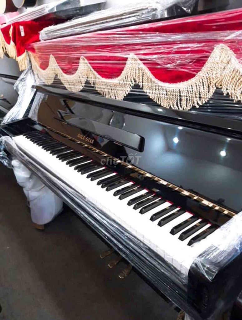 piano cơ Golsdtr