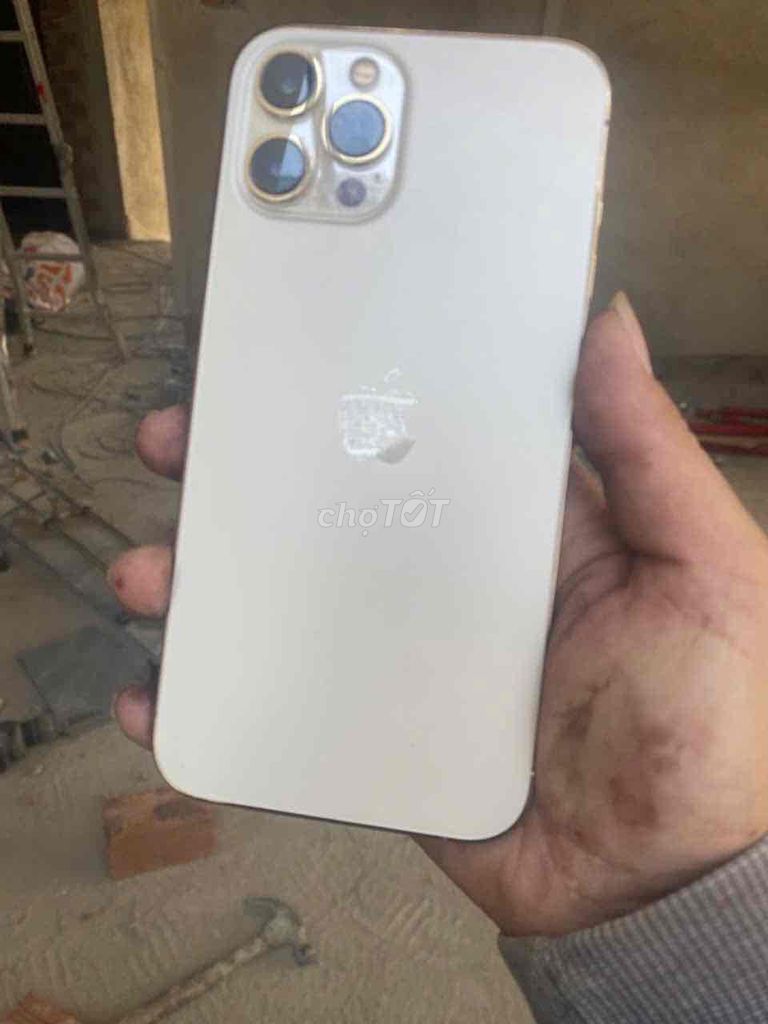 Apple iPhone 12 Pro Max 128GB Vàng. Mua bán Điện thoại tại Thành phố Đà Lạt Lâm Đồng được đăng bởi tí ham ăn hình 1