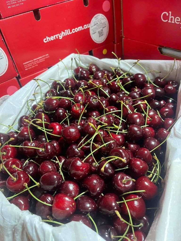 cherry Úc Hill thùng 5kg