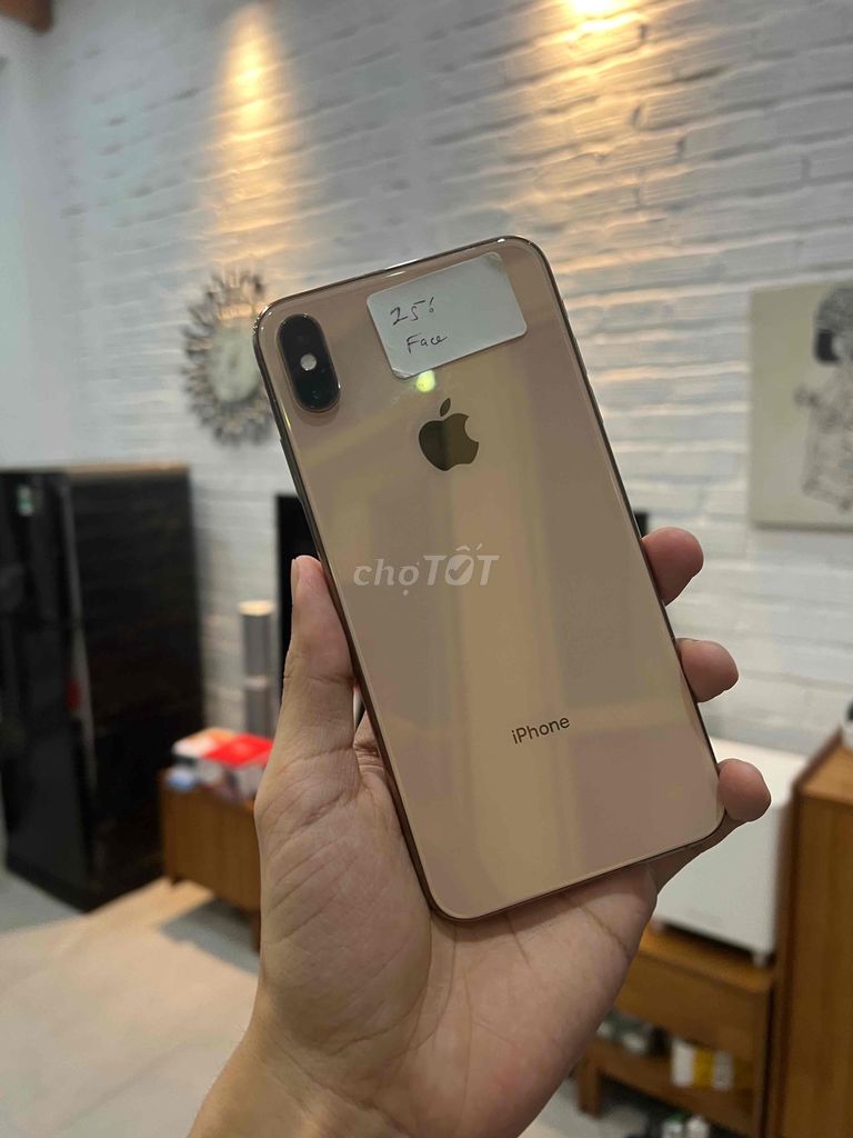 Iphone Xs Max 256G Ko Face có Góp 0 đồng 🔥🔥🔥