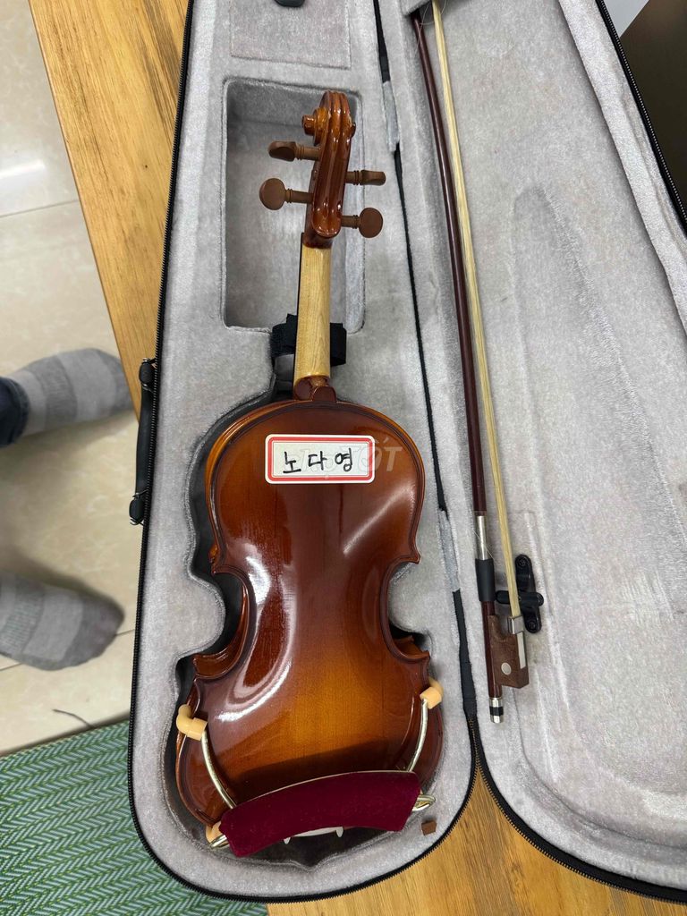 đàn violin