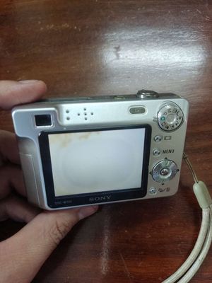 Sony DSC W100