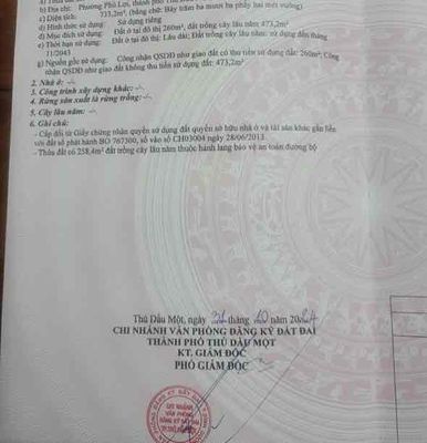 NHÀ XƯỞNG 740M2, MẶT TIỀN MỸ PHƯỚC – TÂN VẠN, PHƯỜNG PHÚ LỢI,. Mua bán văn phòng, mặt bằng kinh doanh tại Thành phố Thủ Dầu Một Bình Dương được đăng bởi Nguyễn Tuấn 