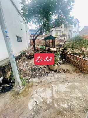 🎯 🎯Hiếm! Bán 44m2 Thuỵ Lôi, Thuỵ Lâm, Nhỏ tiền, Ở hay đầu tư đều tuyệt. Mua bán đất tại Huyện Đông Anh Hà Nội được đăng bởi LINH DREAMLAND
