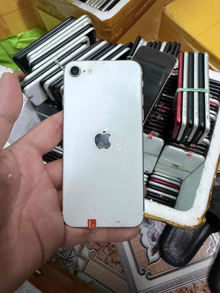 Apple iPhone SE 128GB Trắng. Mua bán Điện thoại tại Huyện Tháp Mười Đồng Tháp được đăng bởi Phan Văn Đẹp hình 1