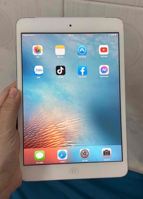 Apple iPad mini2