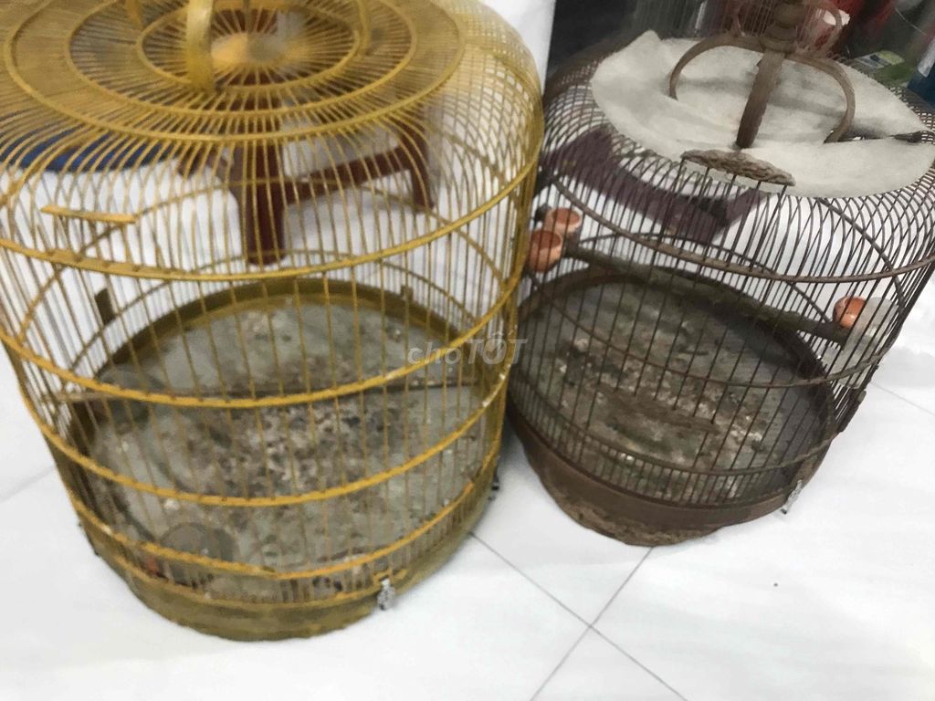 Lồng chim Kim loại Vàng, Nâu, Bạc, Tím. Mua bán Phụ kiện, Thức ăn, Dịch vụ tại Quận Sơn Trà Đà Nẵng được đăng bởi Hoàng - Kho Hàng Dt hình 1