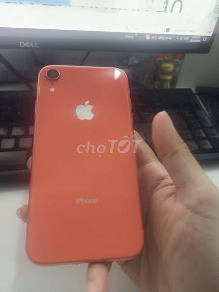 Apple iPhone XR 64GB Cam Đã sử dụng. Mua bán Điện thoại tại Quận 1 Tp Hồ Chí Minh được đăng bởi Hội Đồ Điện Tử hình 1