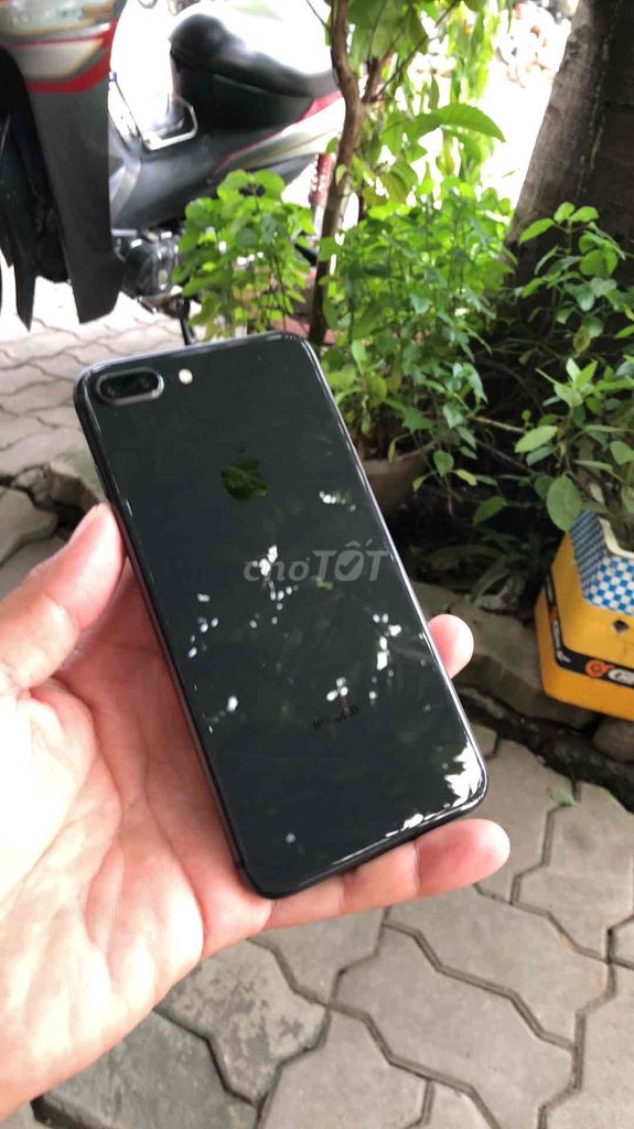 iPhone 8 Plus quốc tế 64g zin đẹp, vân tay ok. Mua bán Điện thoại tại Thành phố Thủ Đức Tp Hồ Chí Minh được đăng bởi Hoạ Bì hình 1