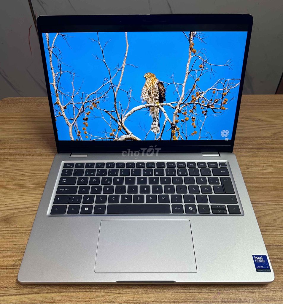 Dell pro 14 plus Core Ultra 7 32GB/512GB(l. Mua bán Laptop tại Thành phố Thủ Đức Tp Hồ Chí Minh được đăng bởi Nguyễn Phương hình 1