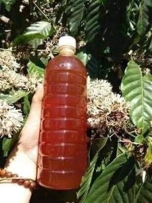 MẬT ONG HOA CÀ PHÊ NGUYÊN CHẤT 135k/1lit. Mua bán Đồ ăn, thực phẩm và các loại khác tại Quận Thanh Khê Đà Nẵng được đăng bởi HANG BD