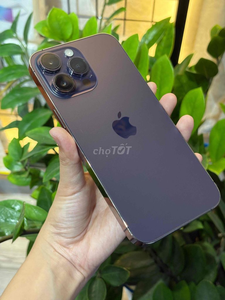 ip14prm màu tím nguyên bản- full zin. Mua bán Điện thoại tại Quận Thanh Khê Đà Nẵng được đăng bởi BÔN APPLE 19 Bàu Hạc 3 hình 1