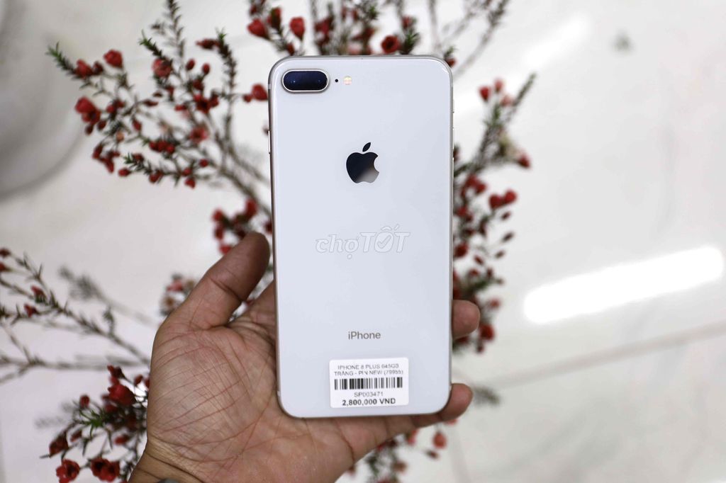 Apple iPhone 8 Plus 64GB Trắng. Mua bán Điện thoại tại Huyện Đức Trọng Lâm Đồng được đăng bởi Mạnh Mobile hình 1