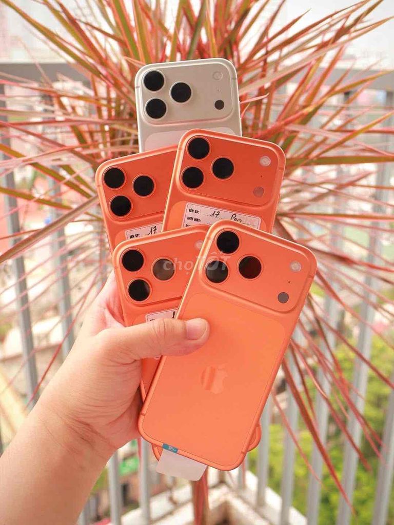 iPhone 17Pro 256Gb Cam FULLBOX APPLE 12/2026. Mua bán Điện thoại tại Quận Thanh Xuân Hà Nội được đăng bởi Nguyễn Huy Dũng hình 1