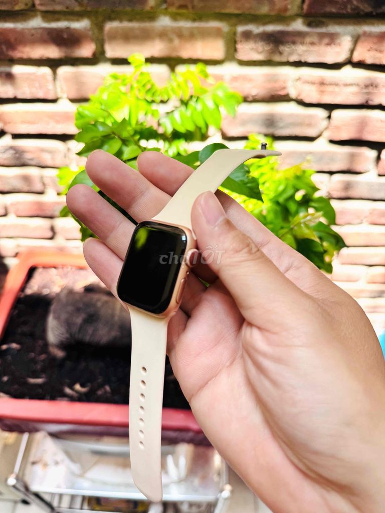 Apple Watch Series 5 Hồng Nữ 40mm 4g đẹp lung linh. Mua bán Thiết bị đeo thông minh tại Quận Hải Châu Đà Nẵng được đăng bởi Việt Hoàng hình 1