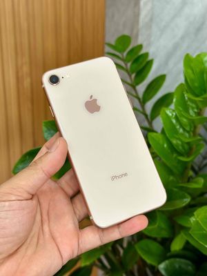 iPhone 8 - 64GB - Quốc Tế - Full chức năng - Ship. Mua bán Điện thoại tại Quận Gò Vấp Tp Hồ Chí Minh được đăng bởi Toto Mobile