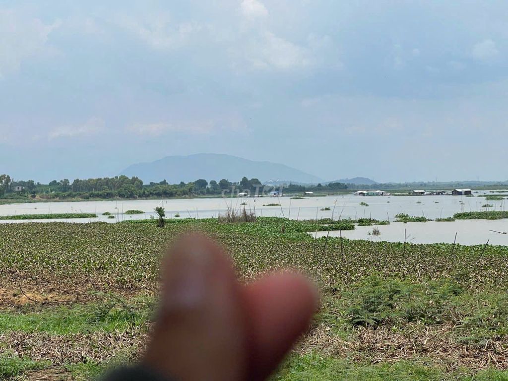 🌟 ĐẾN NƠI CÓ GIÓ: MẢNH ĐẤT THƠ MỘNG BÊN HỒ TRỊ AN LA NGÀ, 698Tr/1000m2