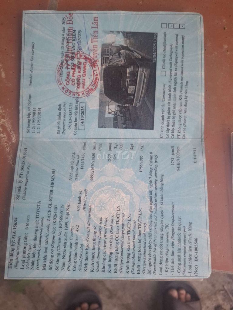 Ảnh số 7
