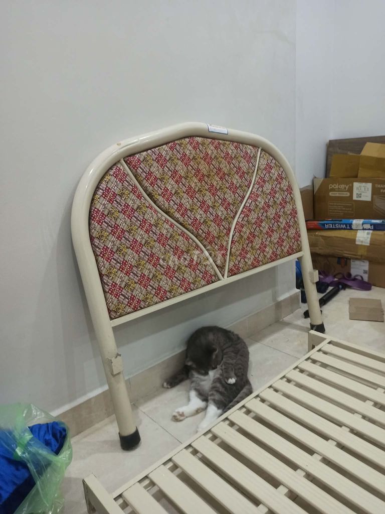Giường sắt Kem 2mx1m đã sử dụng. Mua bán Giường, chăn ga gối nệm tại Quận 8 Tp Hồ Chí Minh được đăng bởi Trần Thư hình 1