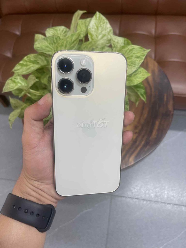 Apple iPhone 14 Pro Max 128GB Vàng. Mua bán Điện thoại tại Huyện Di Linh Lâm Đồng được đăng bởi Trần quang hậu hình 1