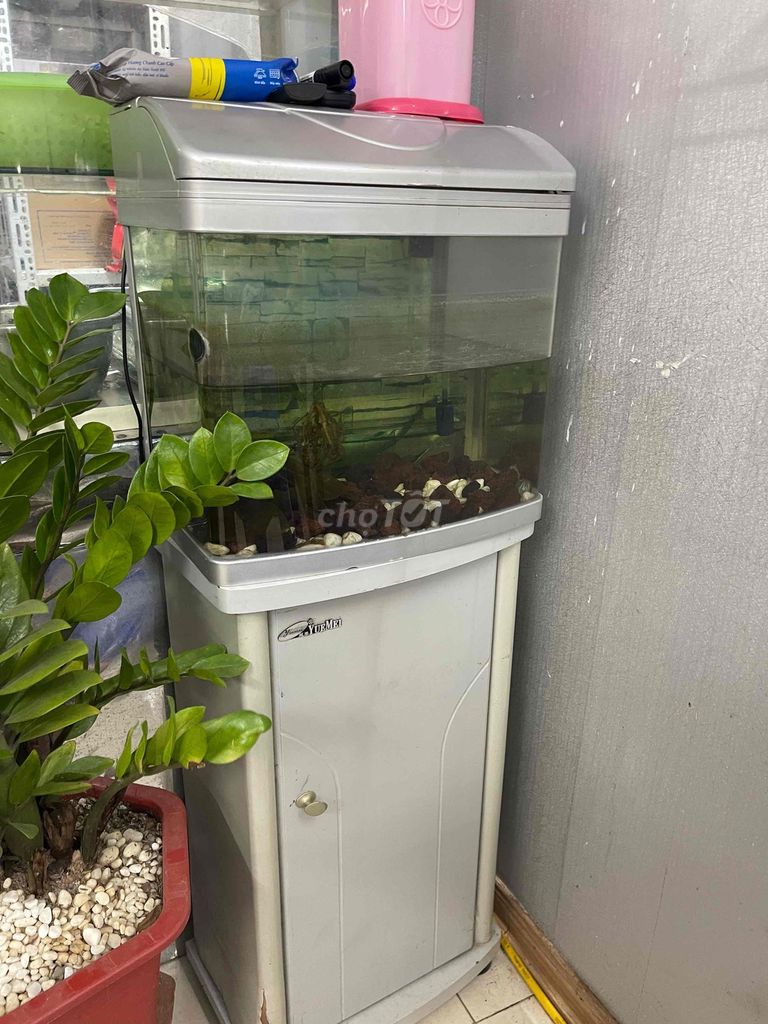 Bể cá cảnh Kính Nhựa Xám có phụ kiện. Mua bán Phụ kiện, Thức ăn, Dịch vụ tại Huyện Thanh Trì Hà Nội được đăng bởi trang hình 1