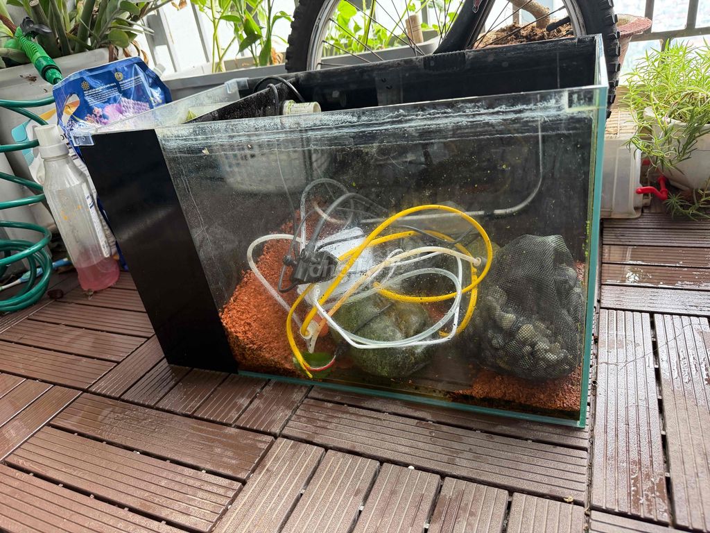Bán bể cá full phụ kiện bê về là dùng. Mua bán Phụ kiện, Thức ăn, Dịch vụ tại Huyện Gia Lâm Hà Nội được đăng bởi Trần lê minh hình 1