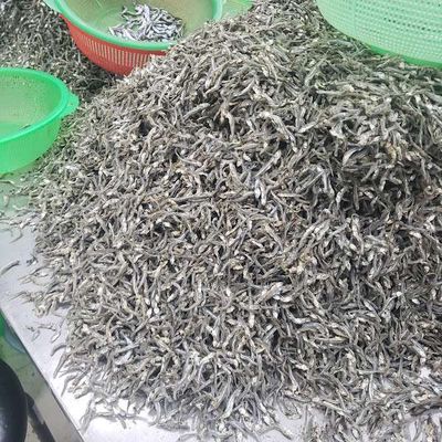 Cá cơm khô ngon rẻ Bình Định đây ạ. Mua bán Đồ ăn, thực phẩm và các loại khác tại Thành phố Thủ Đức Tp Hồ Chí Minh được đăng bởi Mỹ Lệ