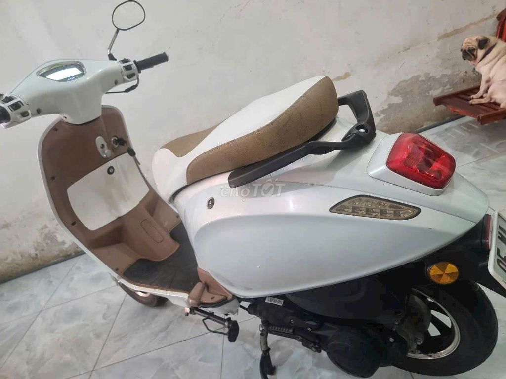 ALLY A1 50cc màu Trắng. Mua bán Xe máy tại Quận Ninh Kiều Cần Thơ được đăng bởi CHXM Trung Trưc  hình 2
