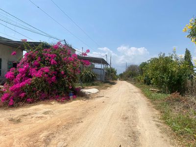 BÁN ĐẤT- DT: 2000M2, MẶT TIỀN NGANG 36,5M, GIÁ TỐT - BÌNH THUẬN. Mua bán đất tại Huyện Hàm Thuận Nam Bình Thuận được đăng bởi Family