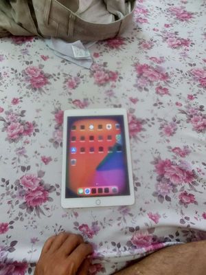 ipad Air 2 hư màn hình